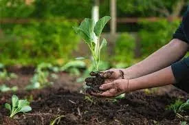 Grower & Partner Focus